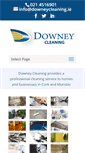 Mobile Screenshot of downeycleaning.ie