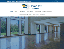 Tablet Screenshot of downeycleaning.ie